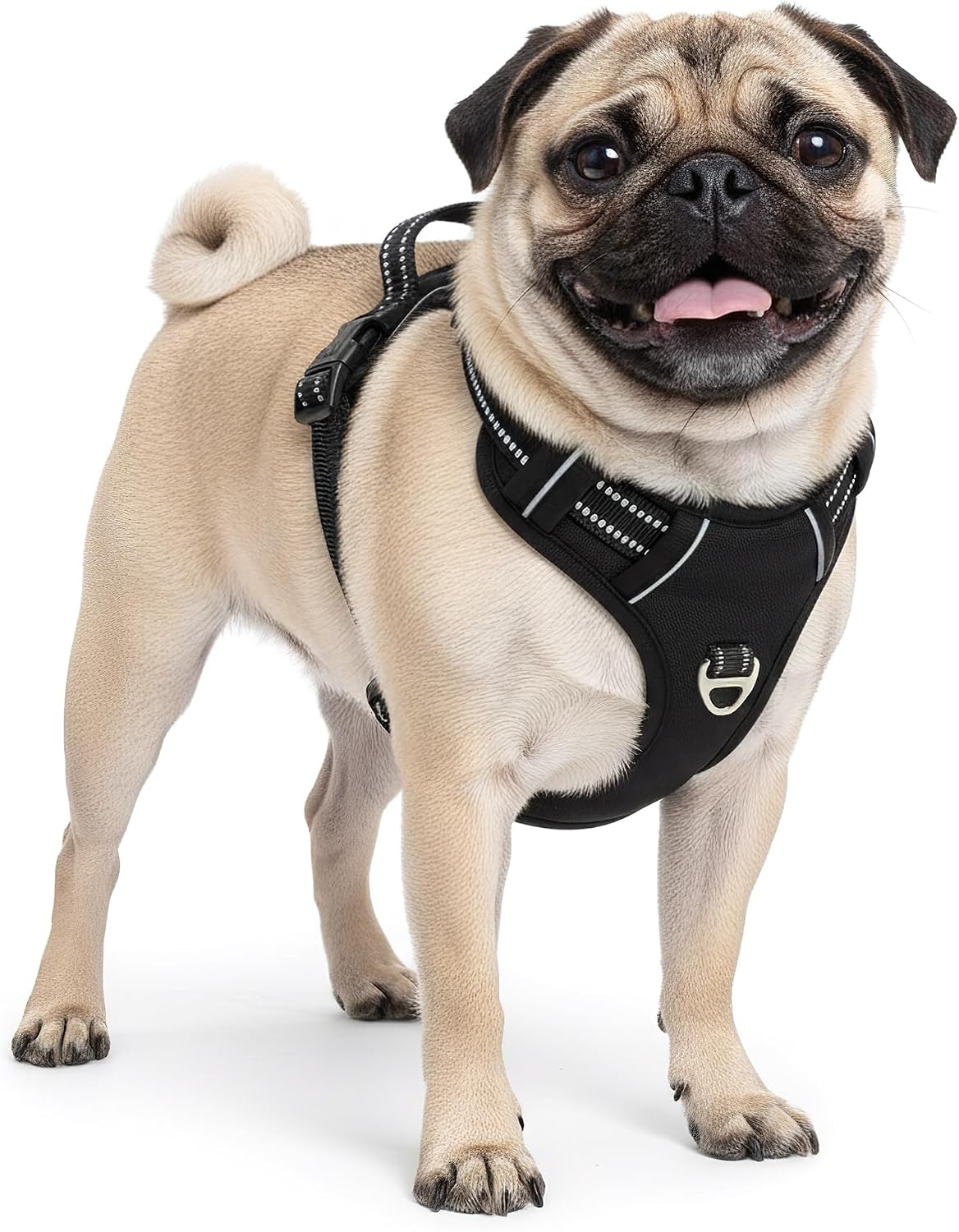Verstellbares Hundegeschirr Mini, Schwarz - 01 XS