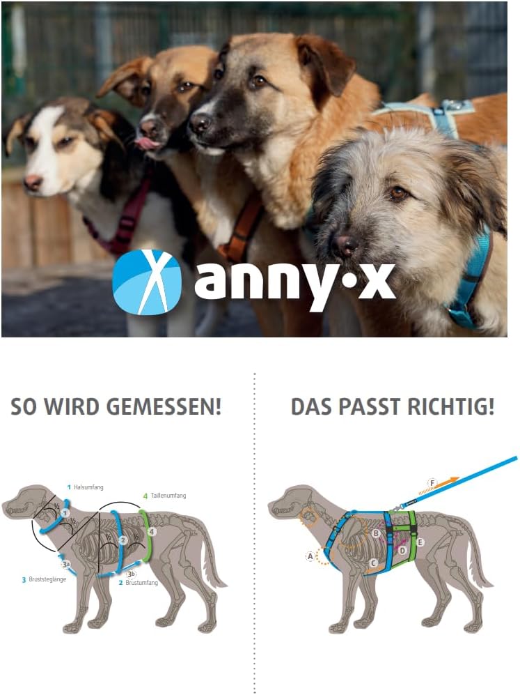 Brustgeschirr Fun für Hunde, braun braun XXS