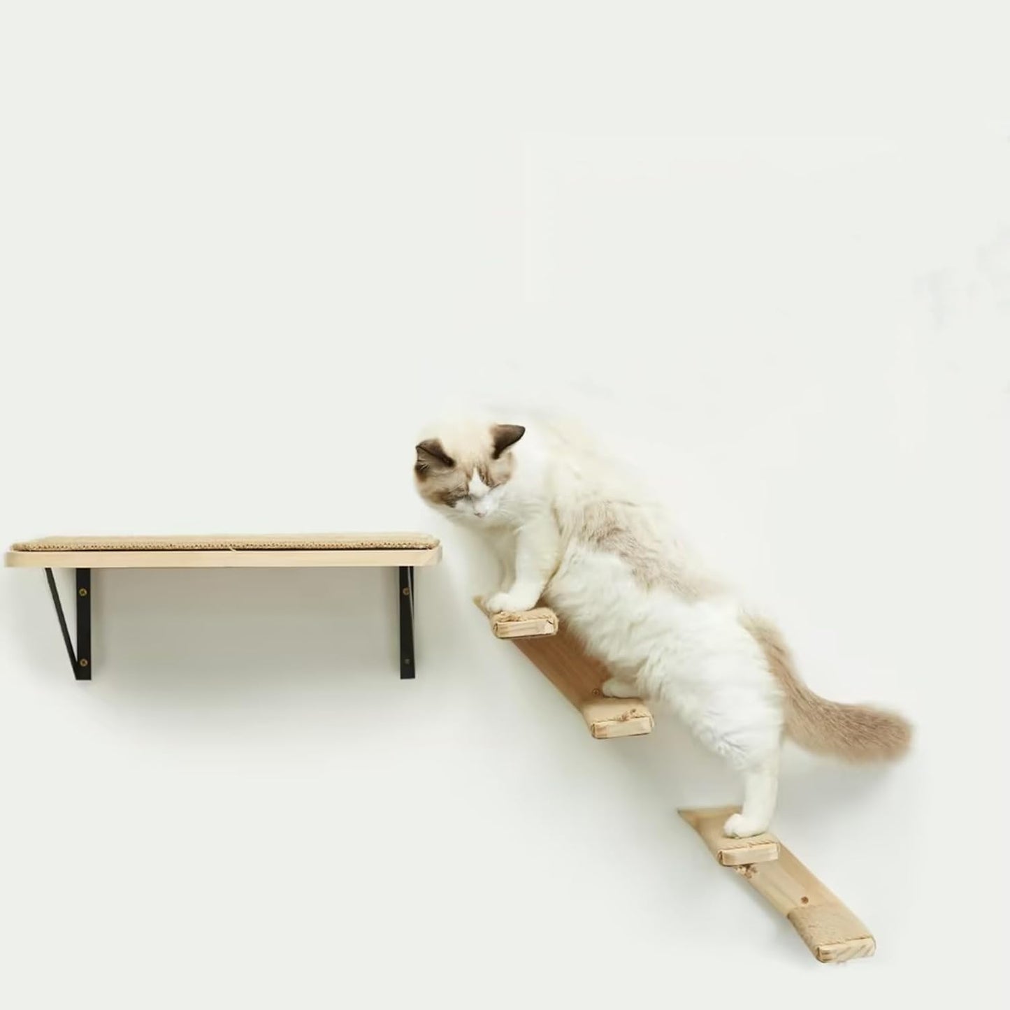 Kletterwand-Set für Katzen, 2PC Zwei Stufen + 1PC Katze Wandregal