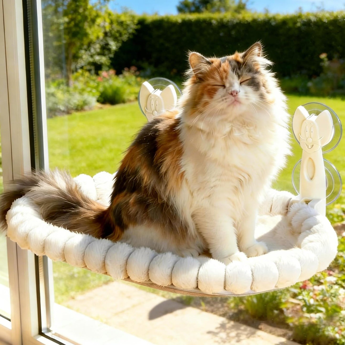 Katzen Fensterliege