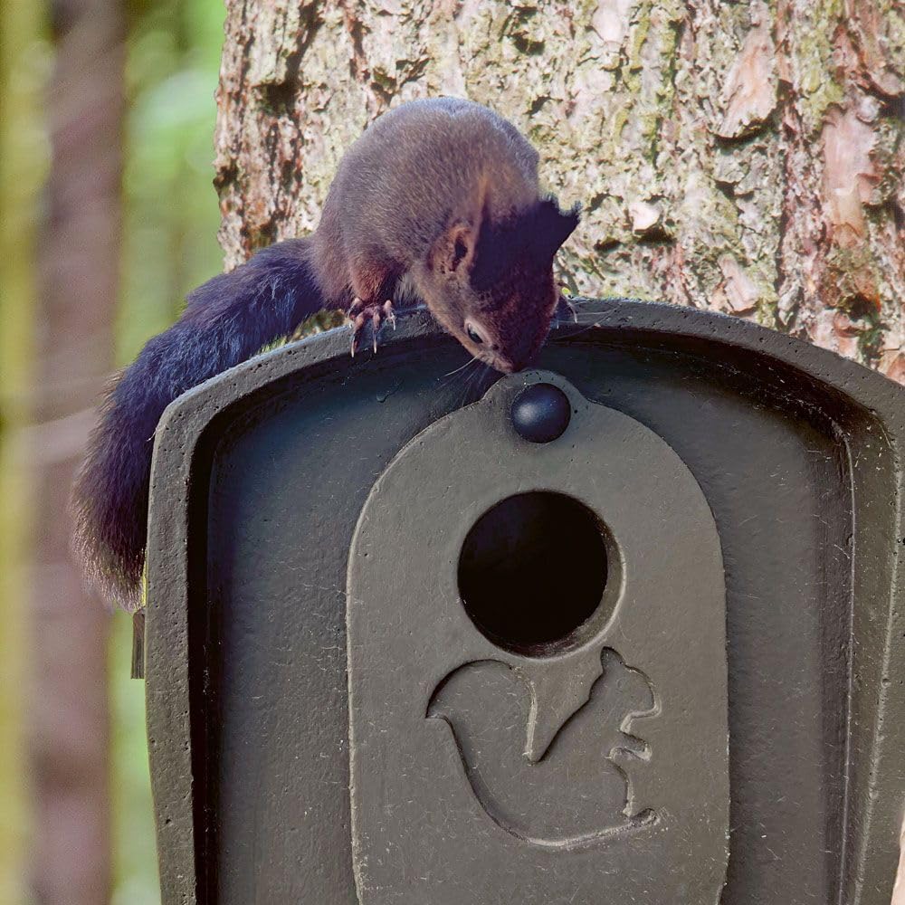 Aufzuchtkobel für Eichhörnchen