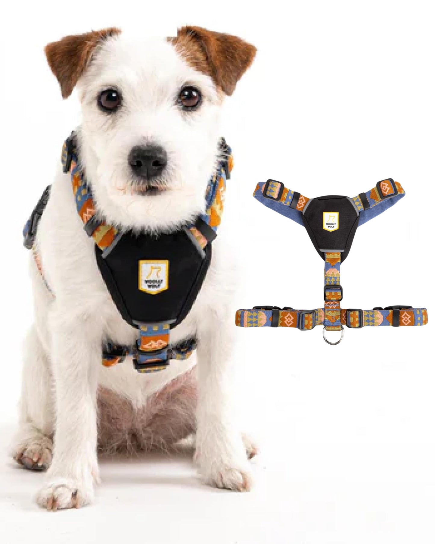 Nightless Hundegeschirr, Nightless Night XS