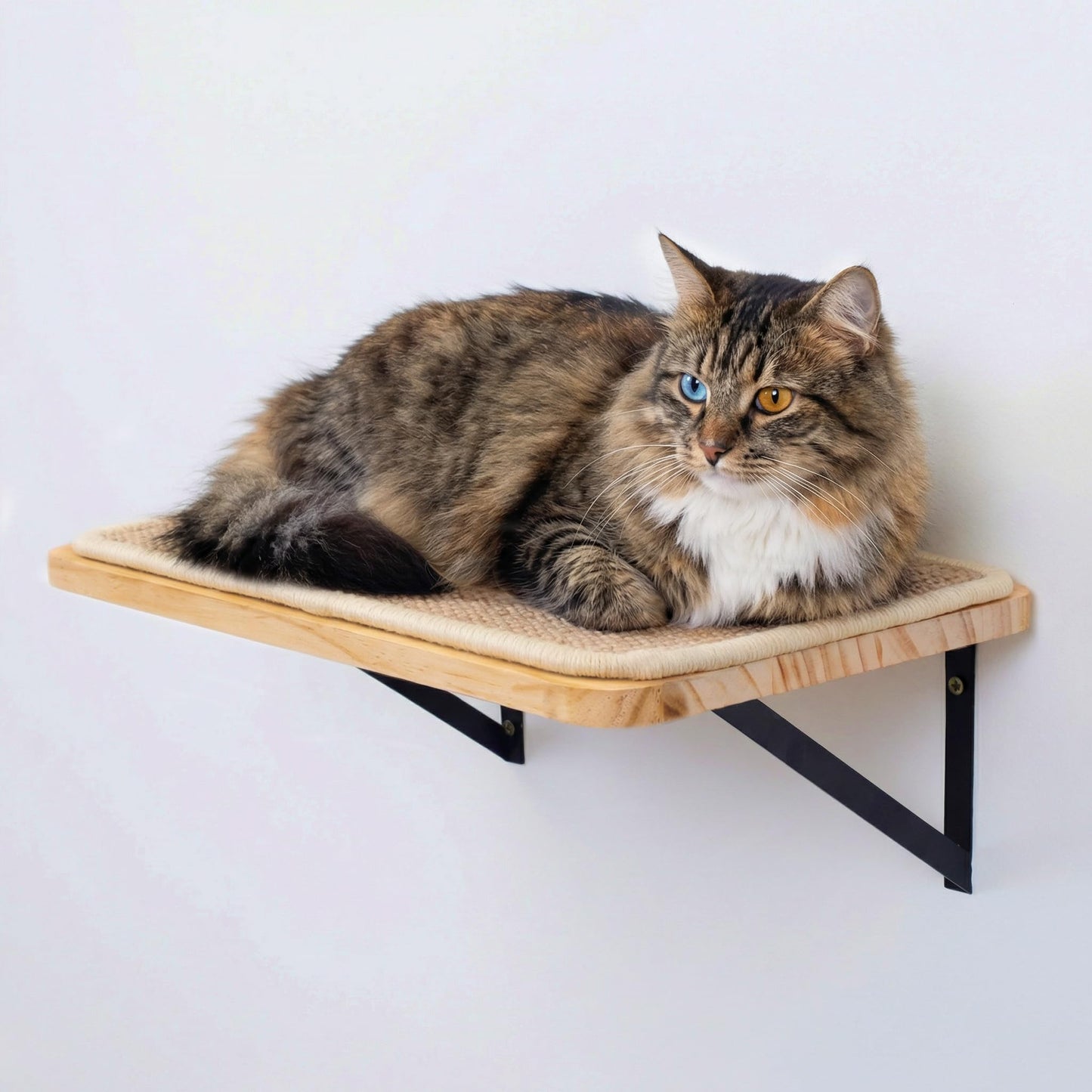 Katzen-Wandregal mit Kratzmatte, 1PC Katze Wandregal