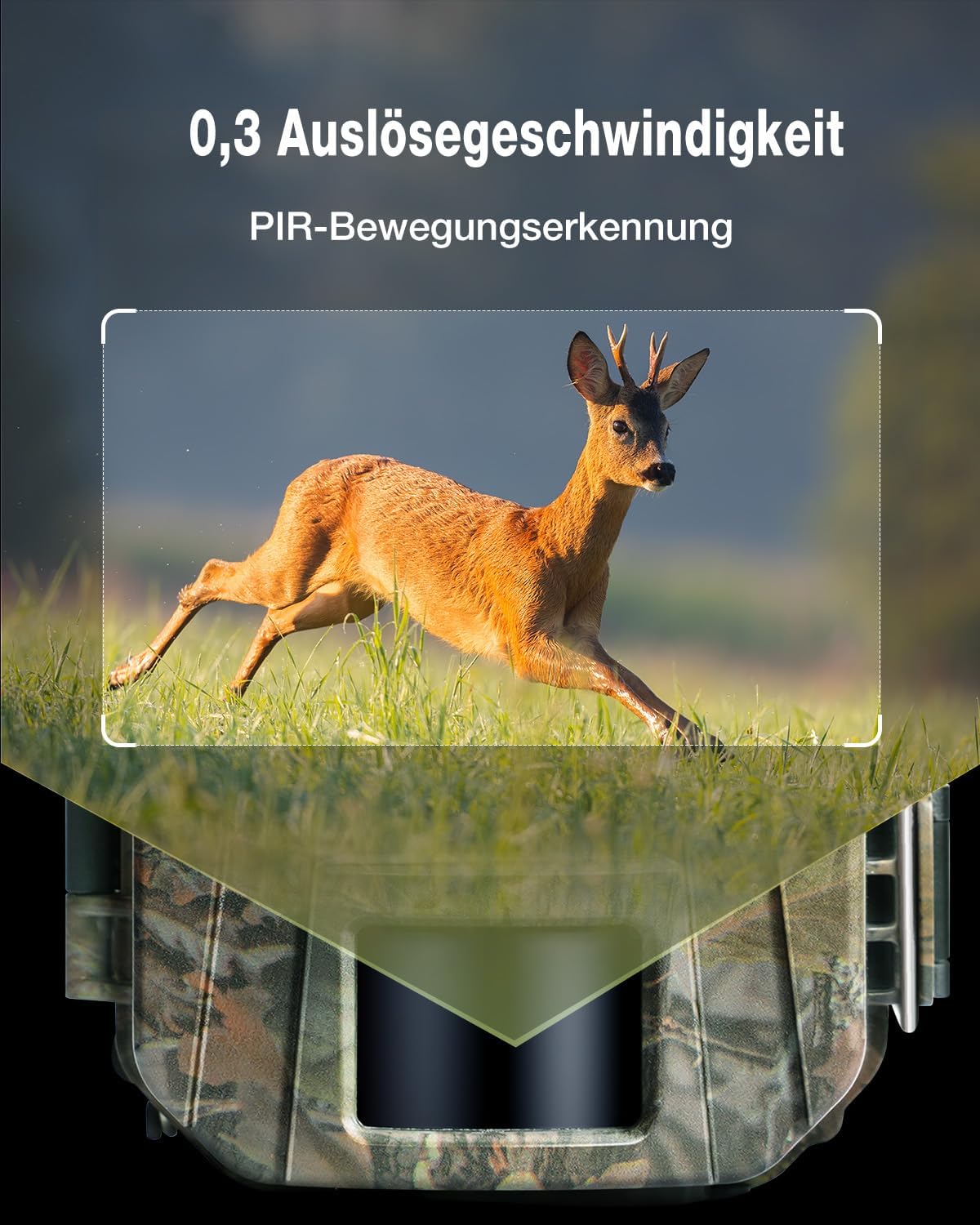 Wildkamera