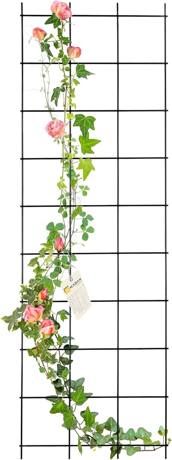 Rankhilfe aus Stahl für Kletterpflanzen, 45 x 150 cm, 45 x 150 cm