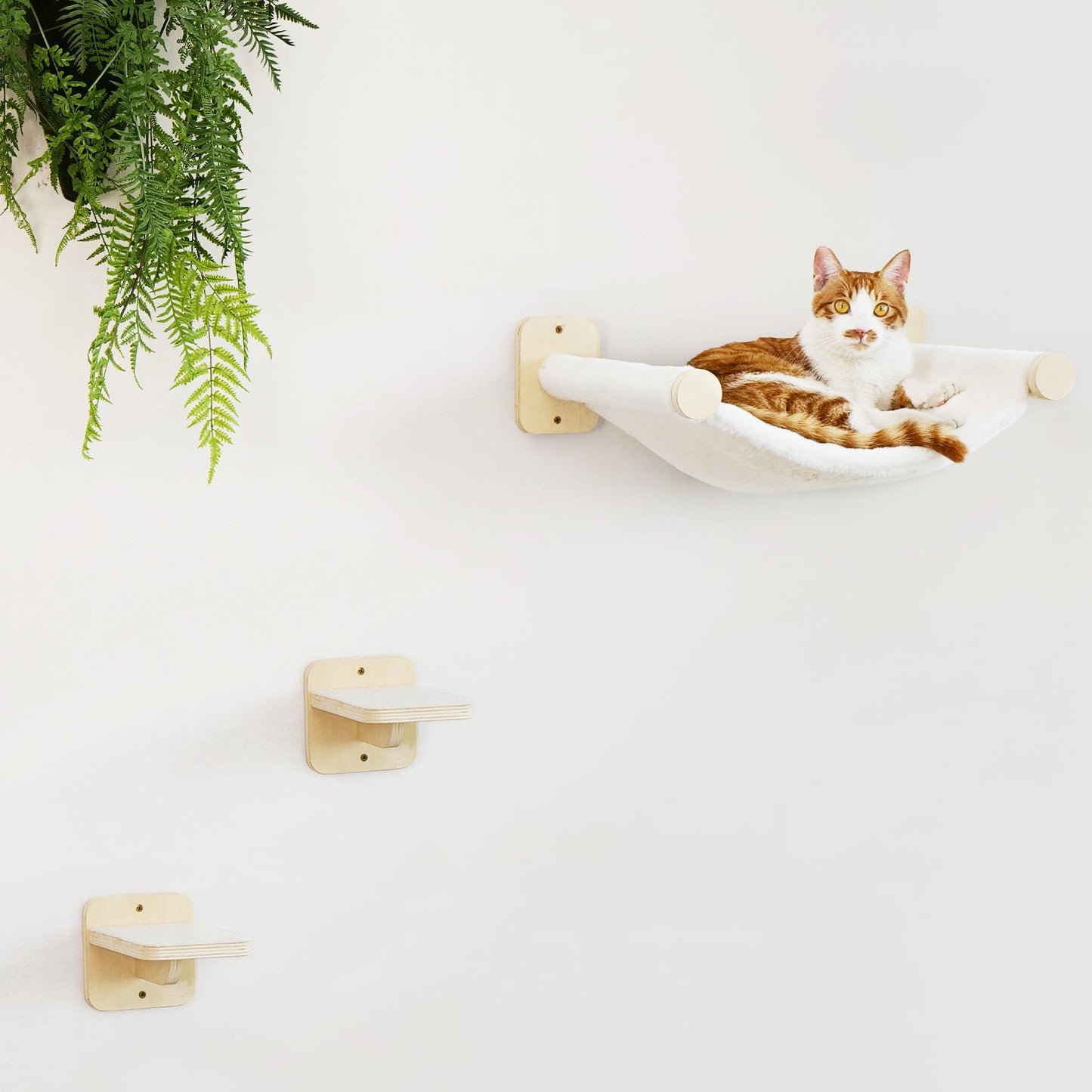 Kletterwand-Set für Katzen mit Hängematte und Treppen, kletterwand Set