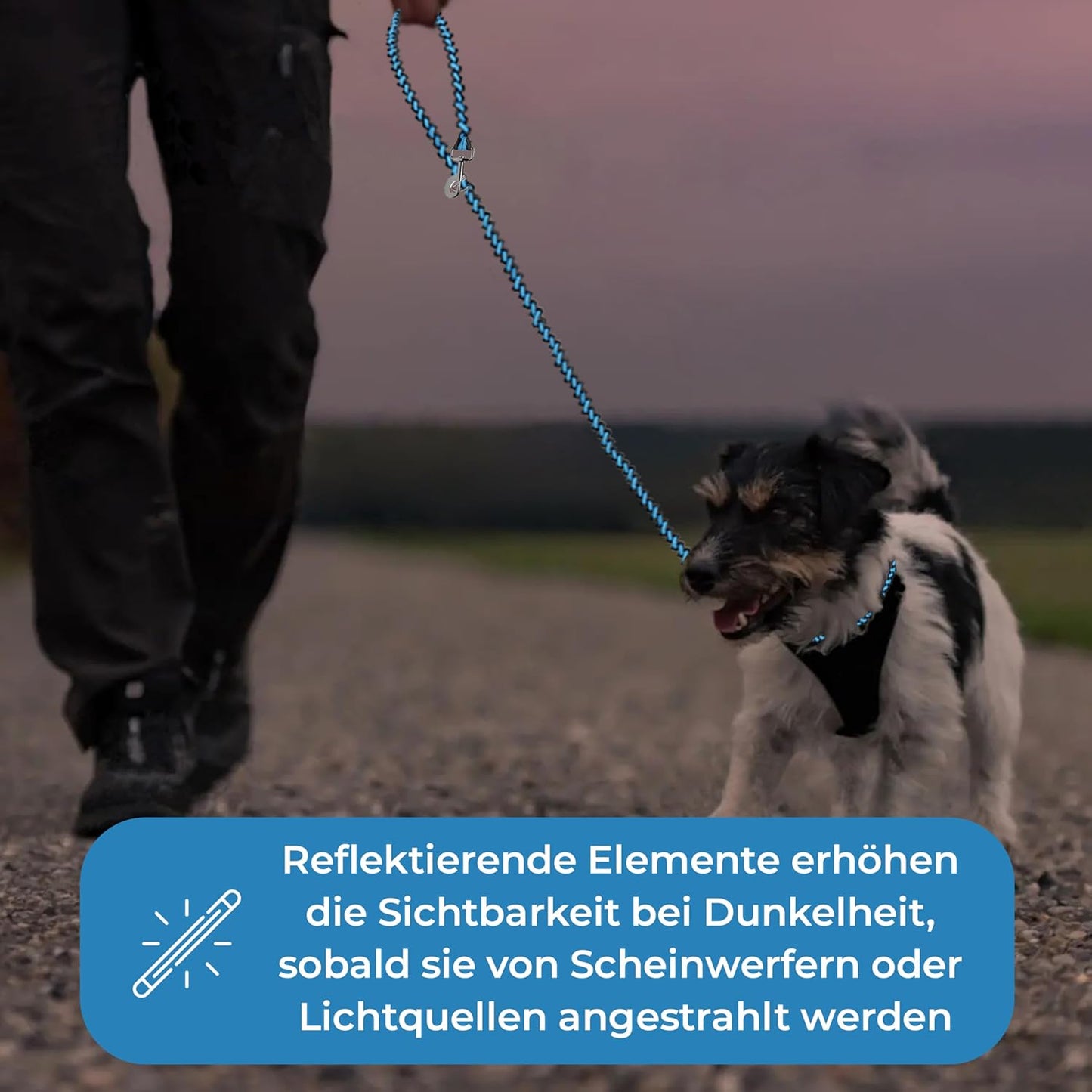 Reflektierende Paracord Hundeleine, 2m, türkis - schwarz 2 m Hunde ab 15 kg