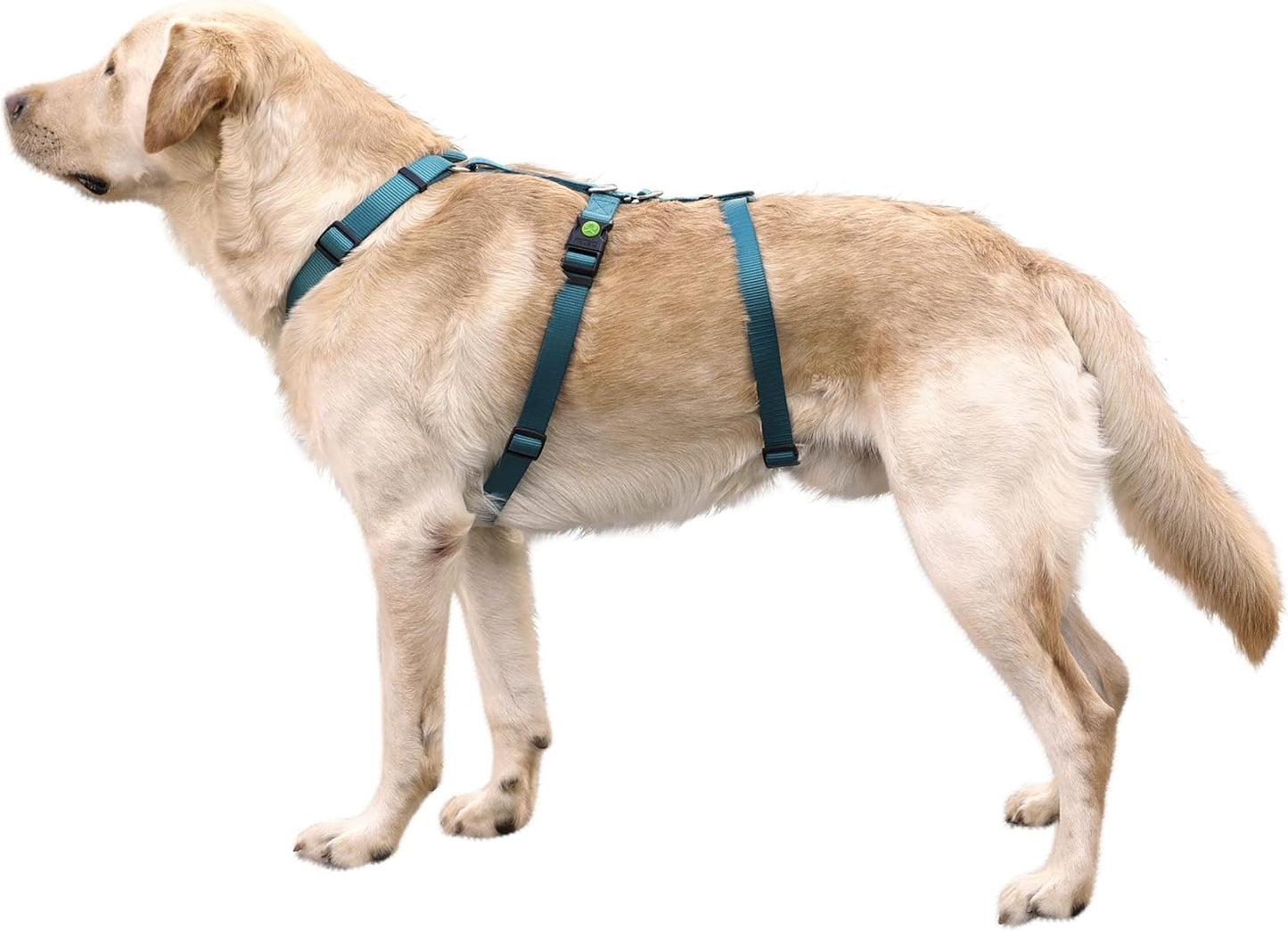 Hundegeschirr "Miami", Petrol 42 - 55 cm