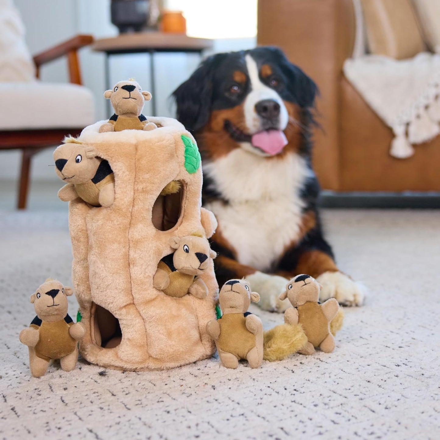 Hunde-Versteckspiel Hide A Squirrel, XL (1er Pack)