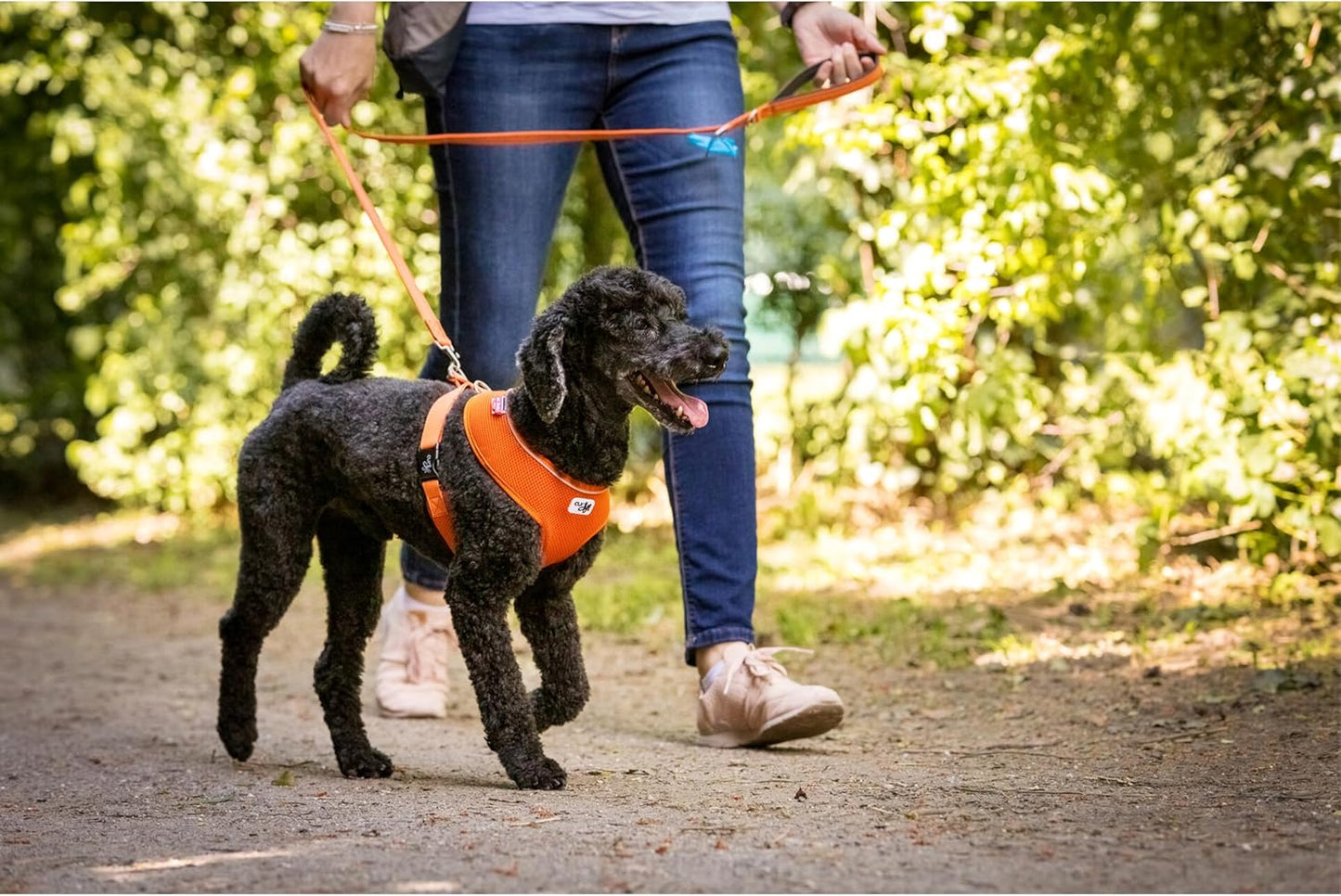 Basic Harness Air-Mesh, M Black