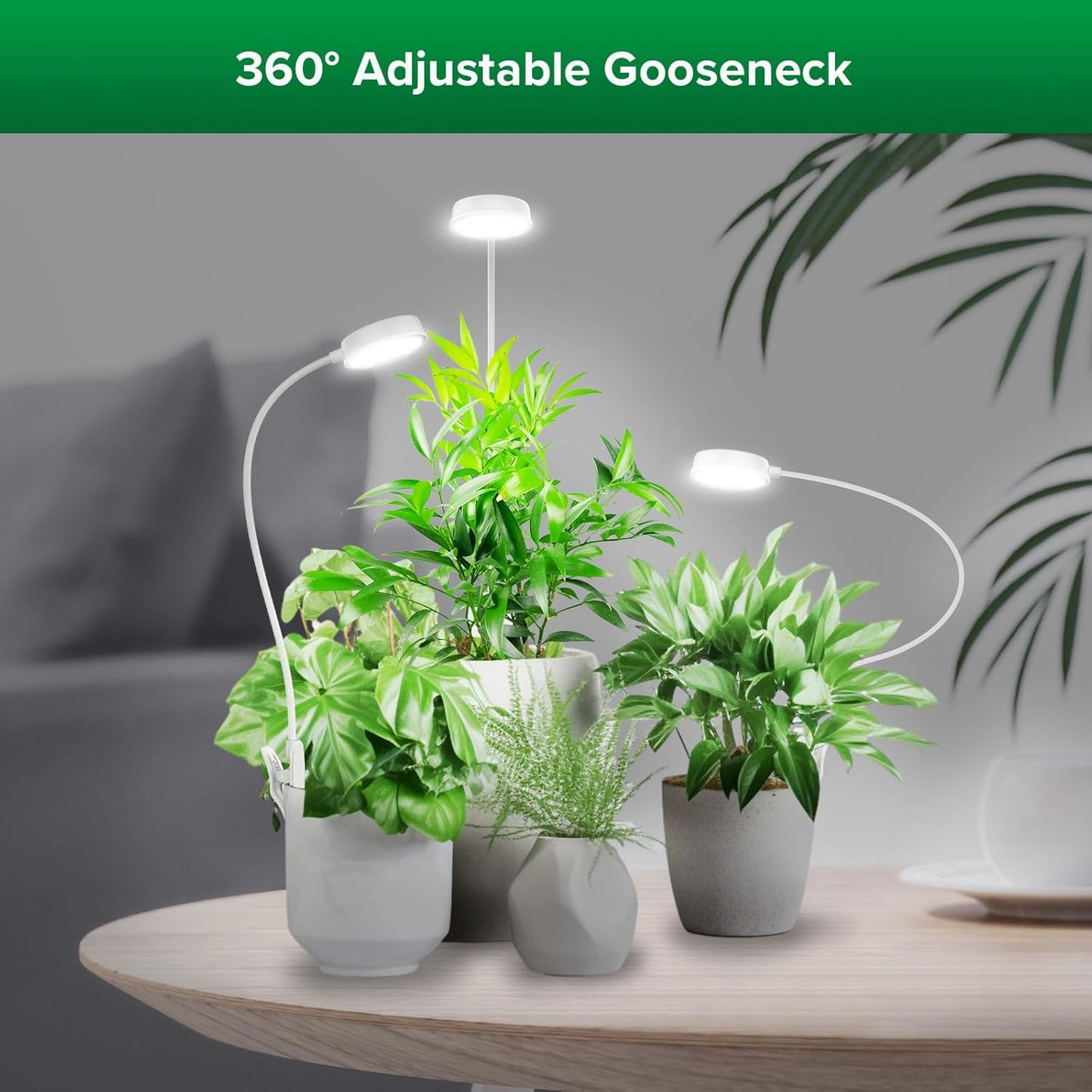 3er-Pack LED-Pflanzenlampe mit Timer und Helligkeitsstufen, 3er-Pack