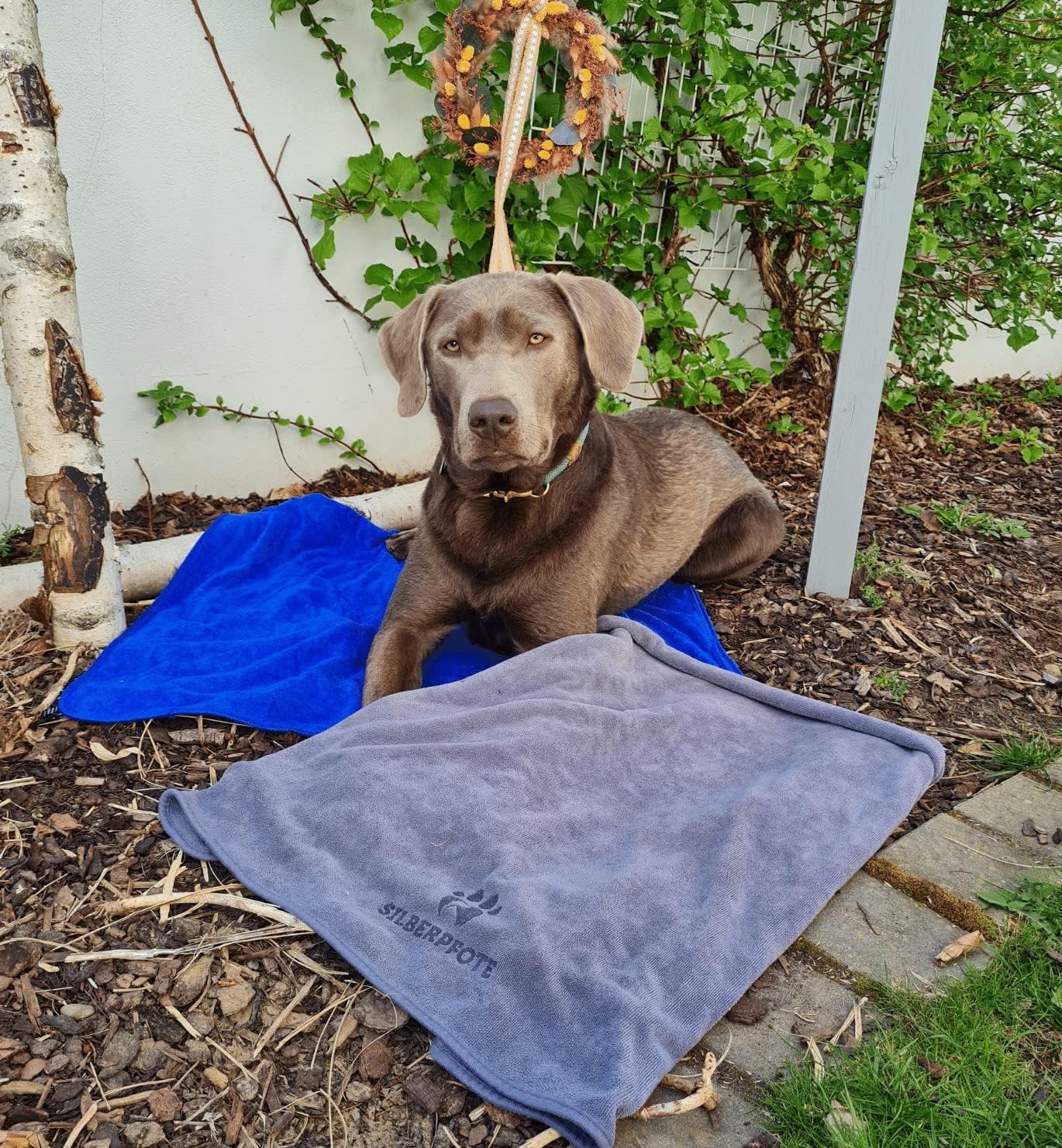 Hundehandtuch