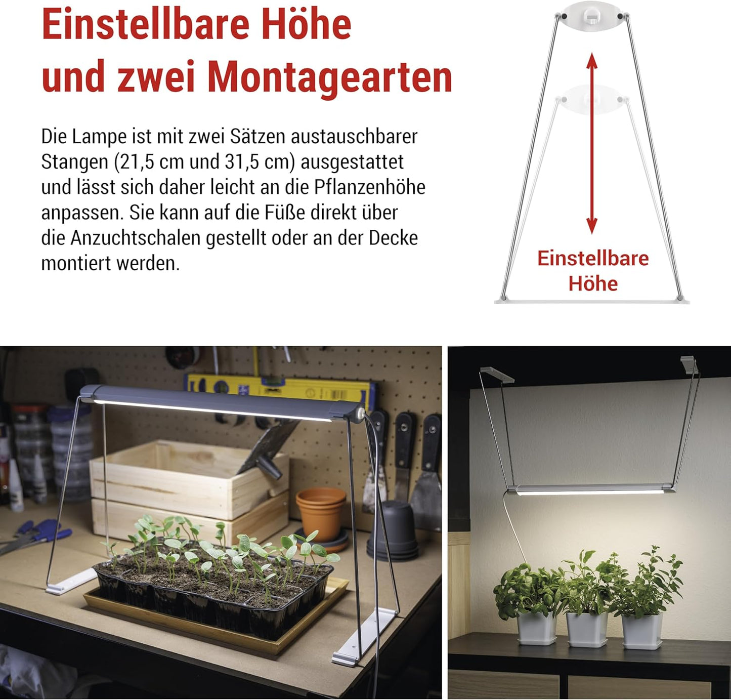 LED-Grow-Lampe mit Timer, Z7903