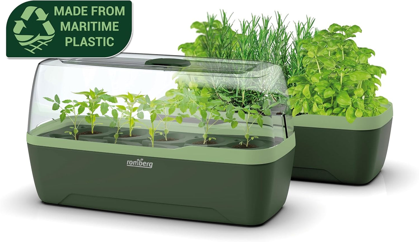 BoQube L Plus Mini-Gewächshaus Anzuchtset mit Bewässerungssystem, BoQube L Plus — 41×17×23cm Green Edition