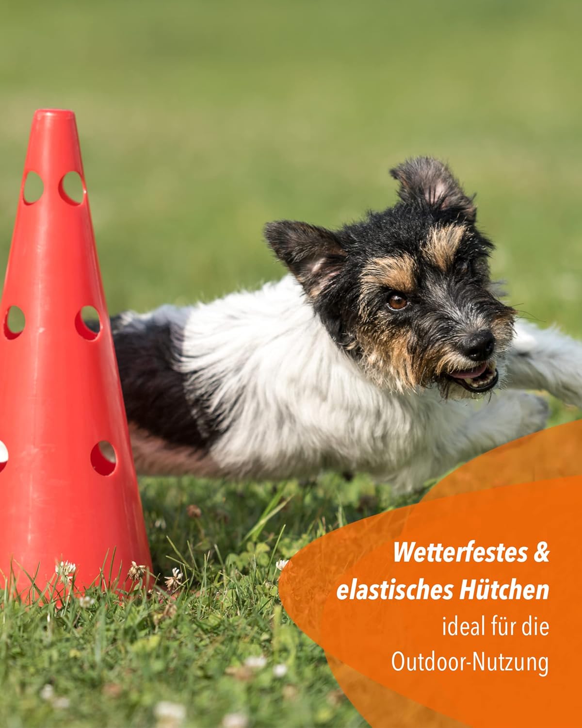 Parcours-Hürden-Set für Agility, orange/blau