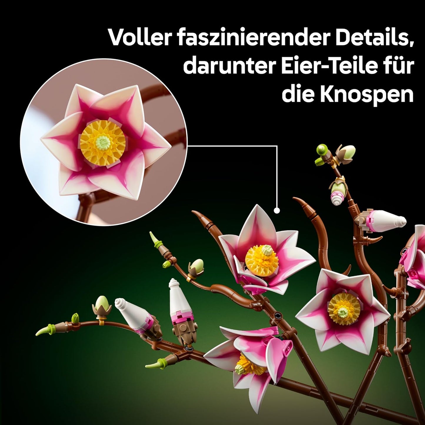 Magnolienzweige