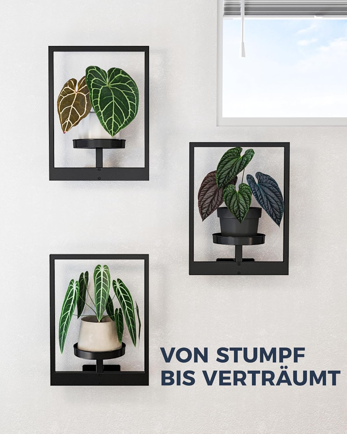 3er-Set Wand-Blumenständer, 3 Set