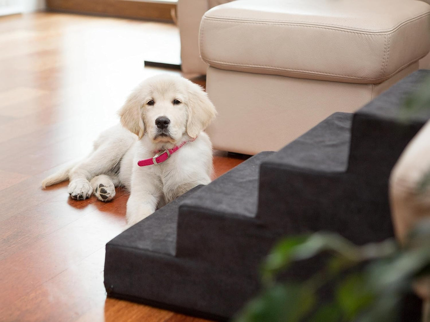 4-stufige Tiertreppe für kleine Hunde und Katzen, Mittel - höhe 40 cm / Schwarz
