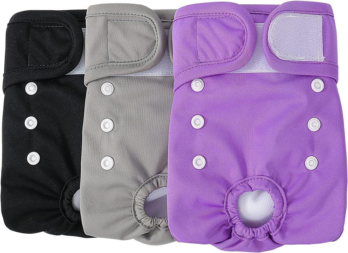 Läufigkeitshosen-Set für Hündinnen, Purple XS