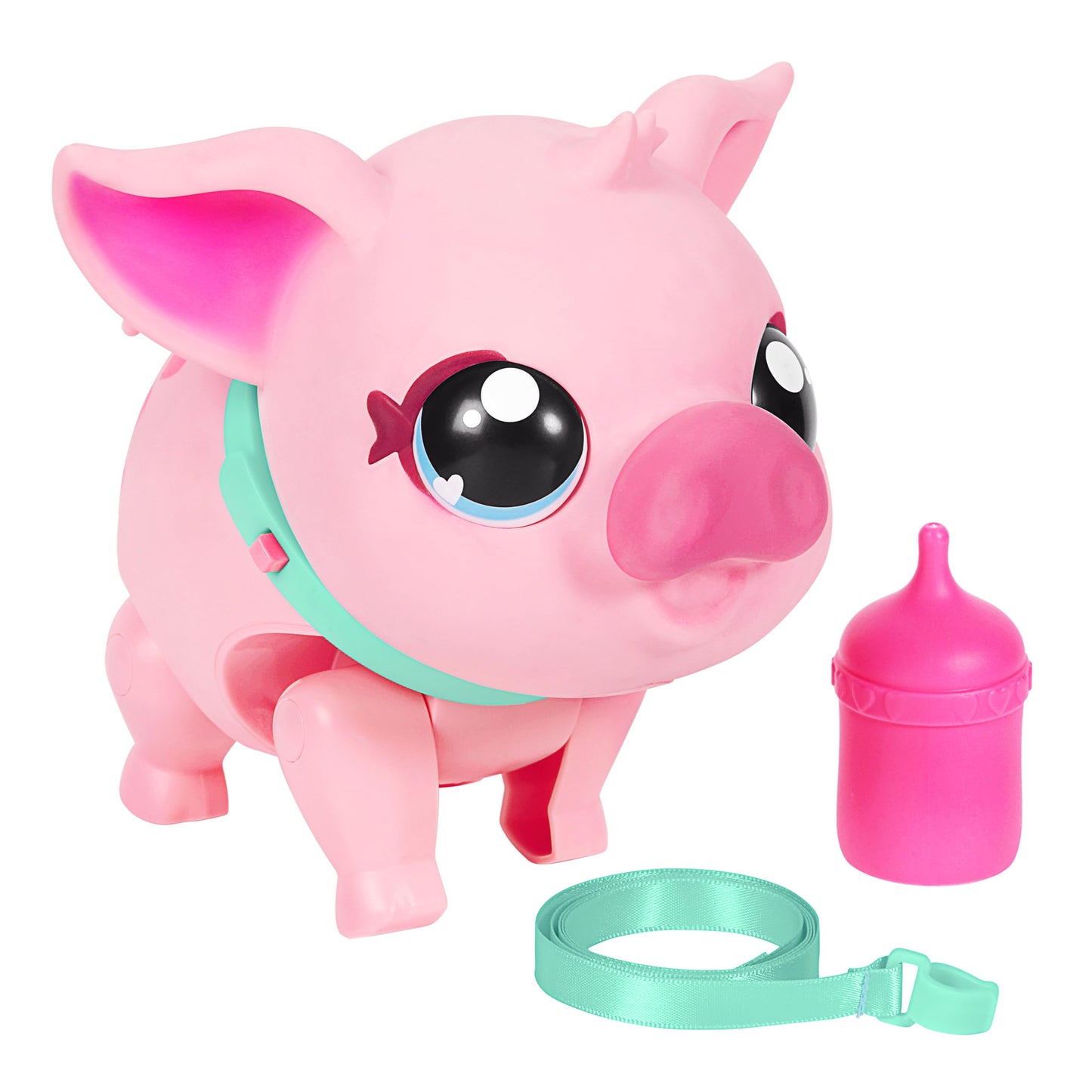 Mein Haustier Schwein, Pig