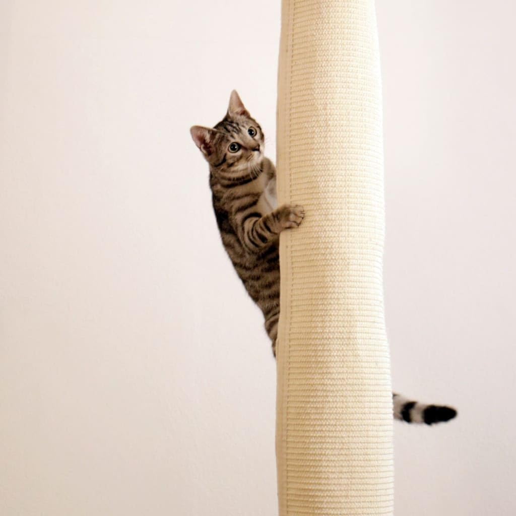 Climber, beige
