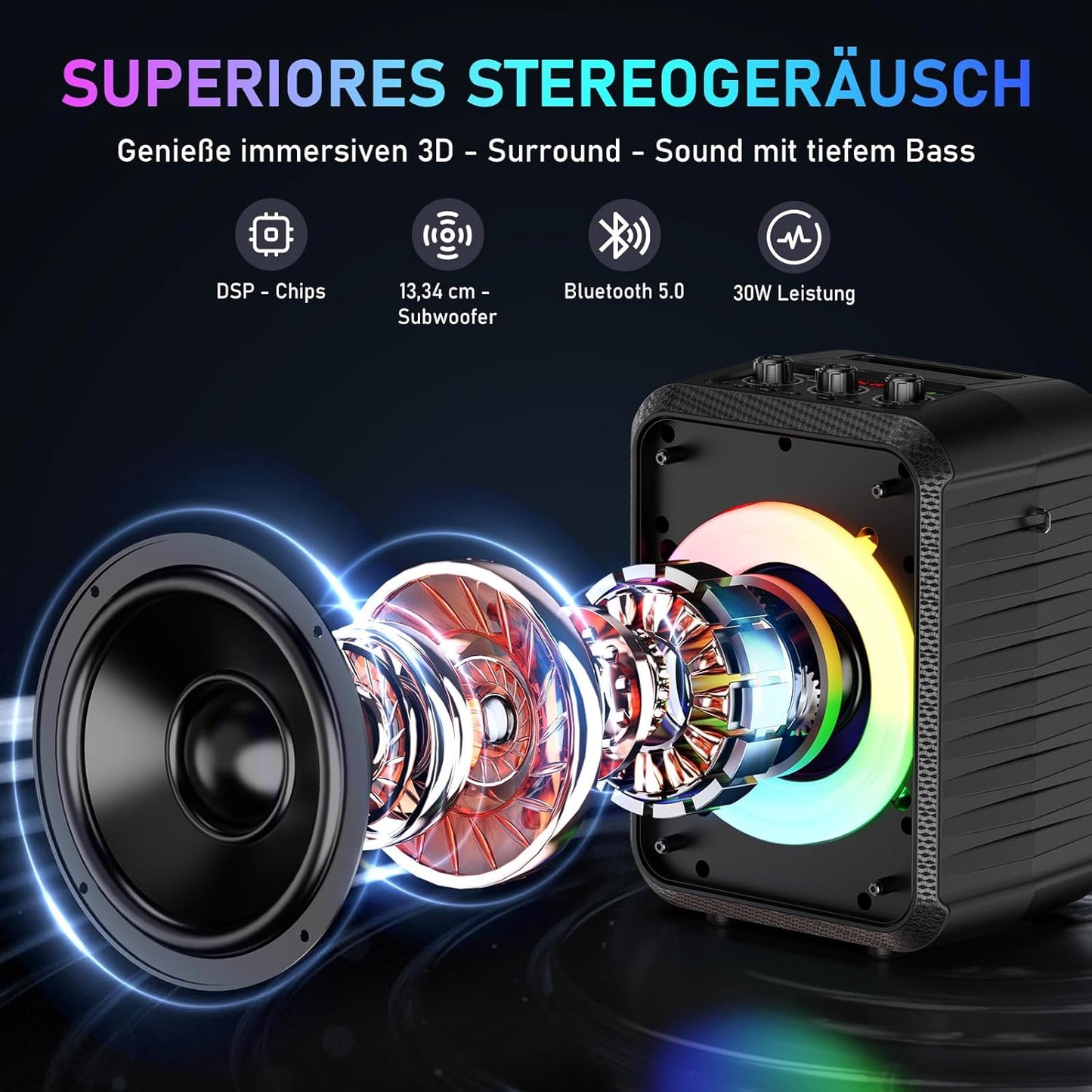 Tragbare Karaoke Maschine D13T mit 2 Mikrofonen, Schwarz D13T