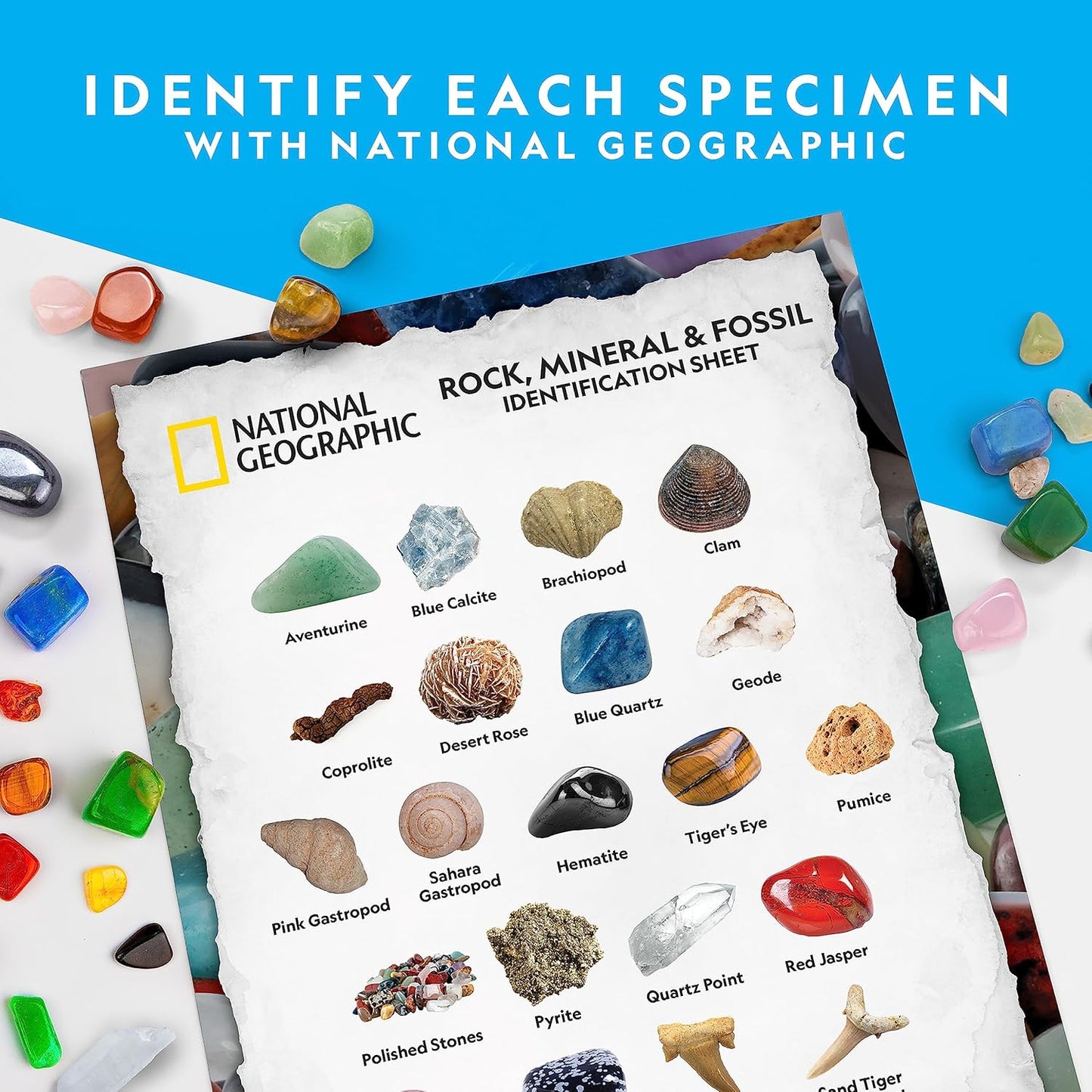 Stein-, Mineralien- und Fossilien-Set, Ultimate Rock & Fossil Kit