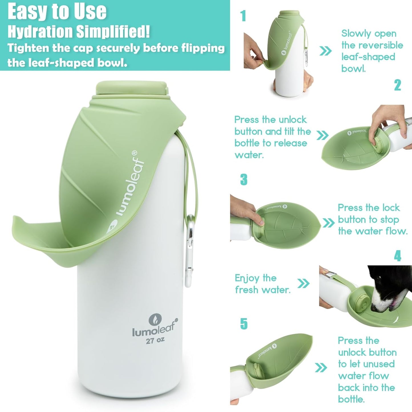 Isolierte Wasserflasche für Hunde, Grün 800 ml