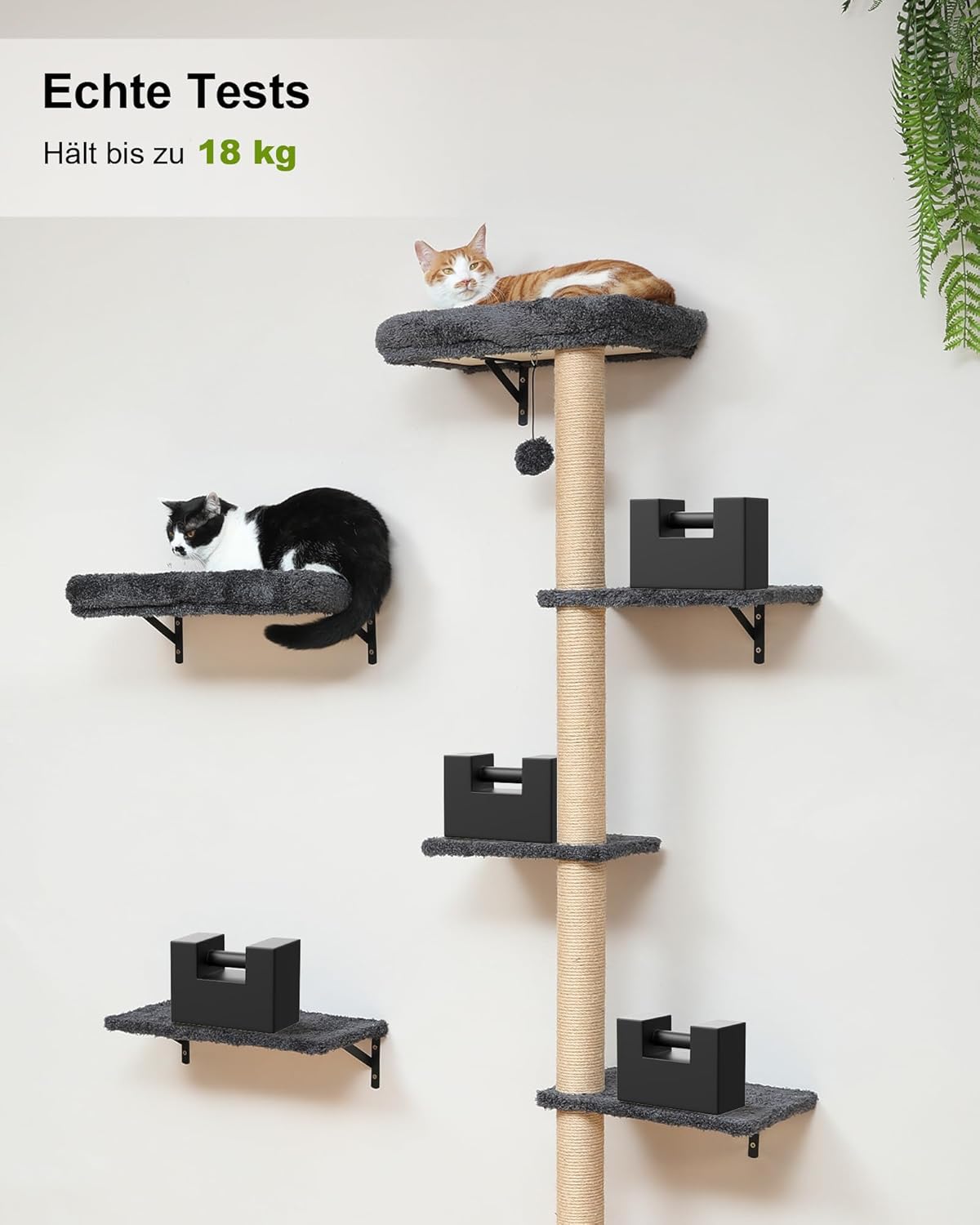 Katzen-Kletterwand, Grau