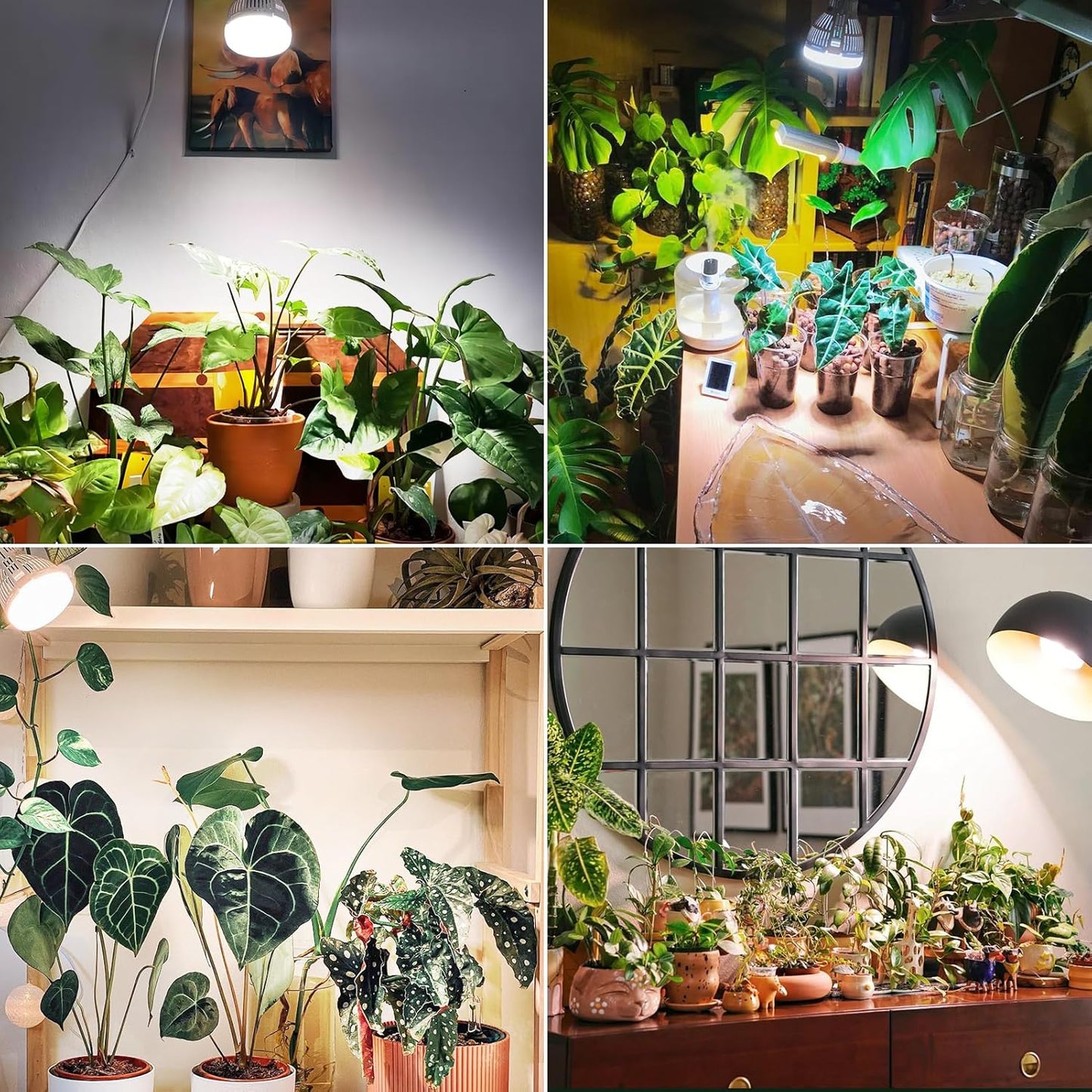 Dimmbares LED Pflanzenlicht mit Fernbedienung, A19-10 Dimmbar