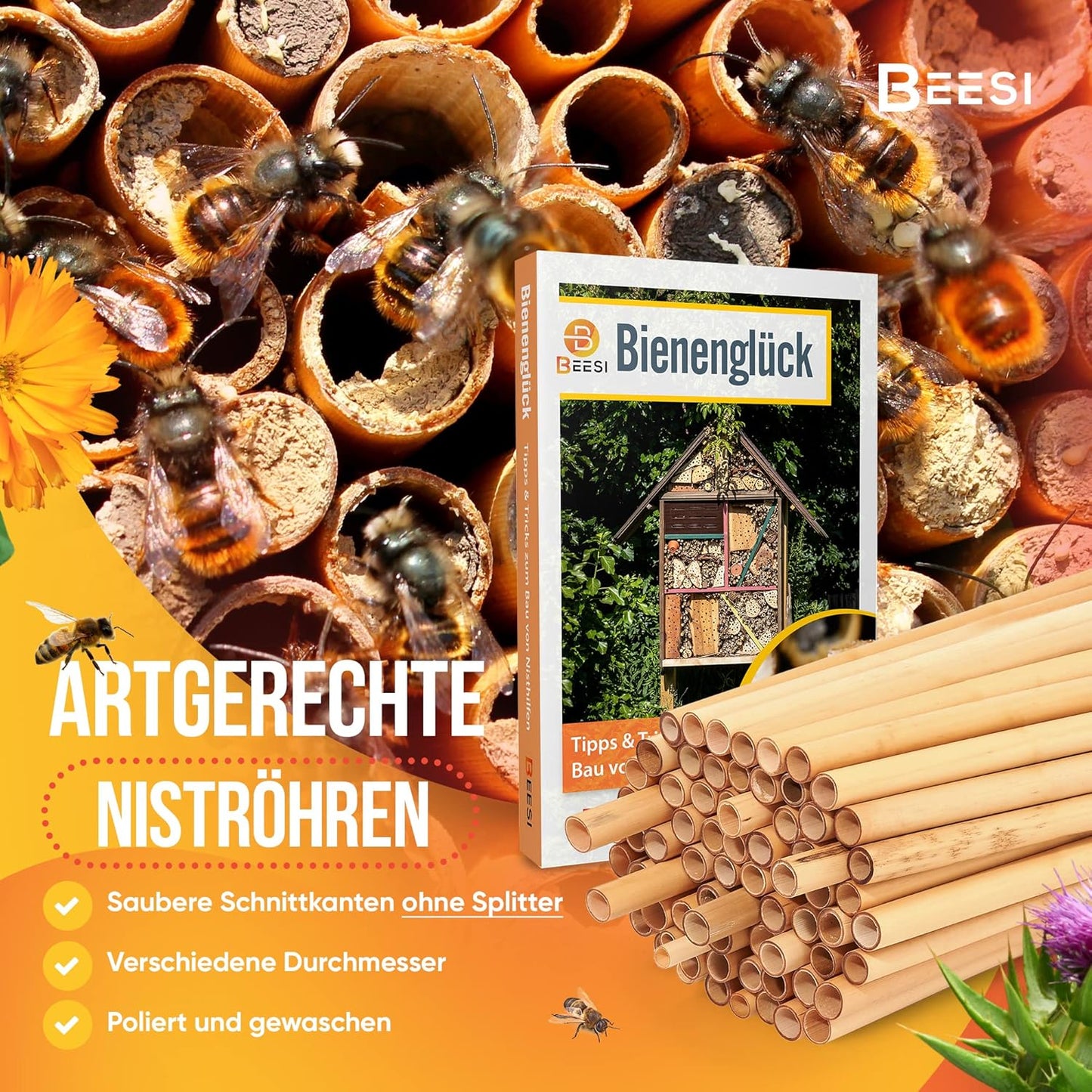 Nisthülsen aus Schilf, 200x BEESI Schilf