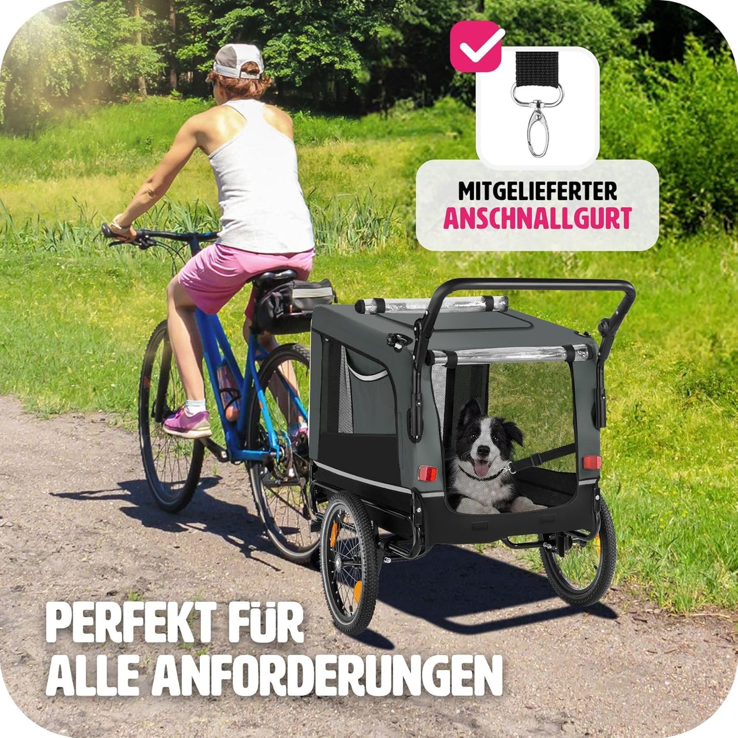 Veloanhänger für Hunde, Grau