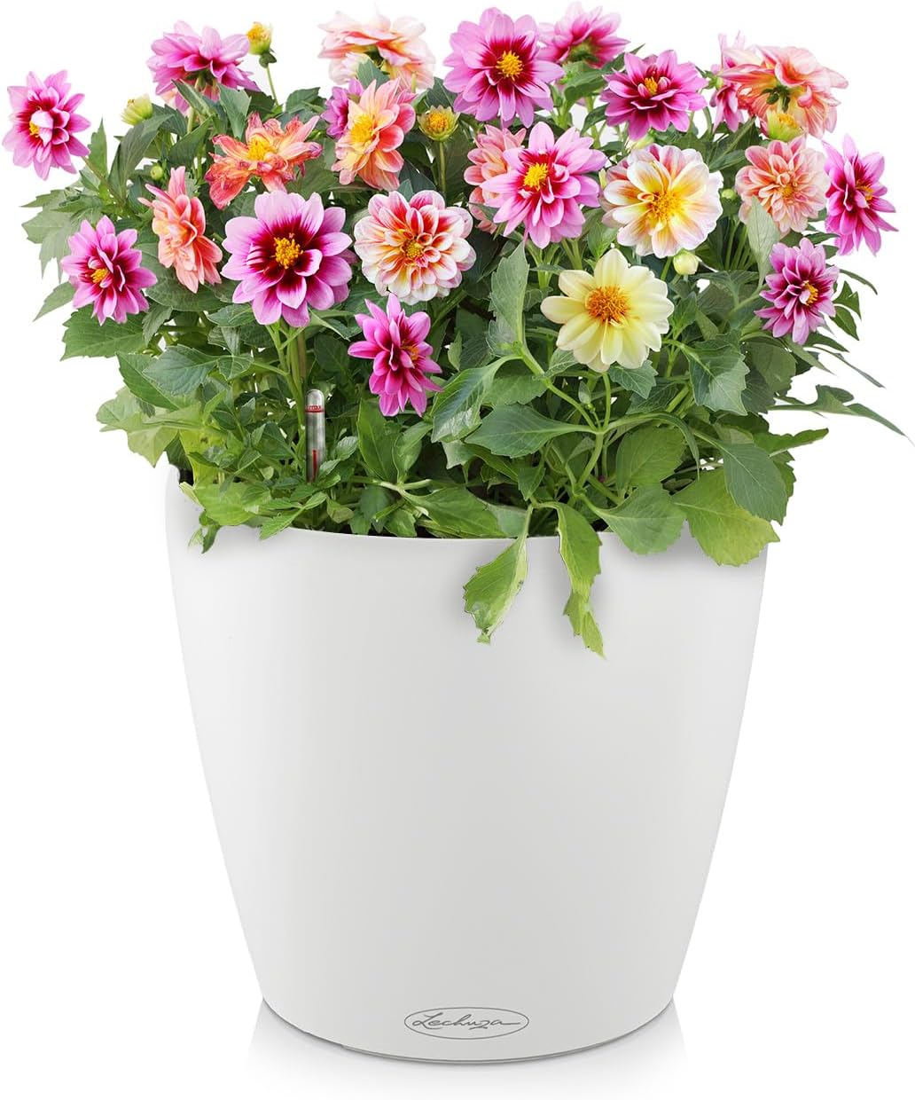 Classico Color, 36x36x32.5 cm Weiss