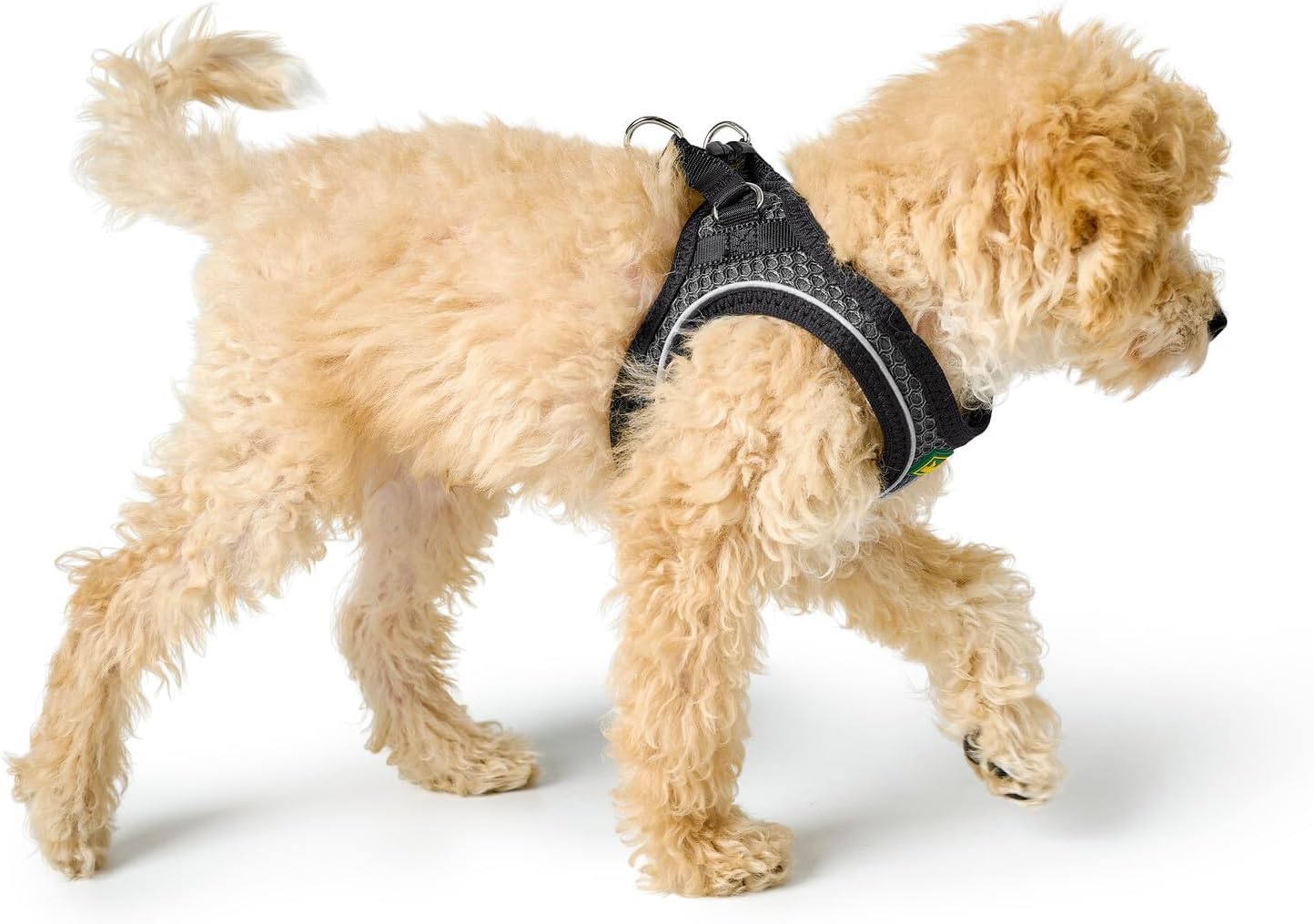 Hundegeschirr Hilo Comfort XS, anthrazit XS