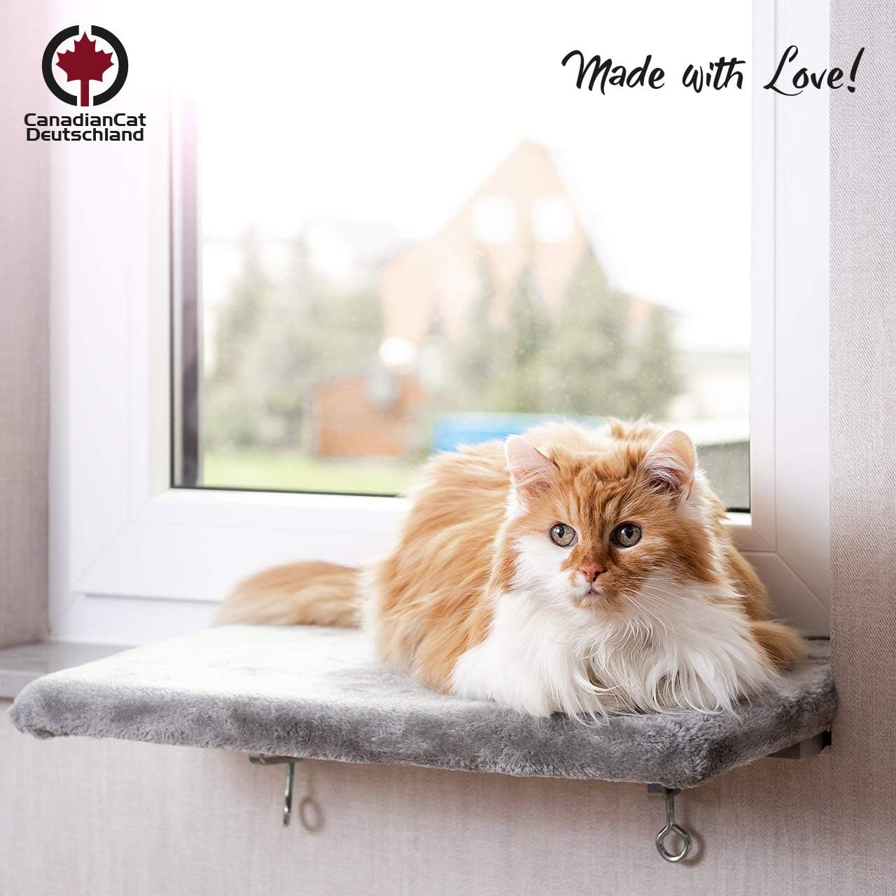 Katzen Fensterliege