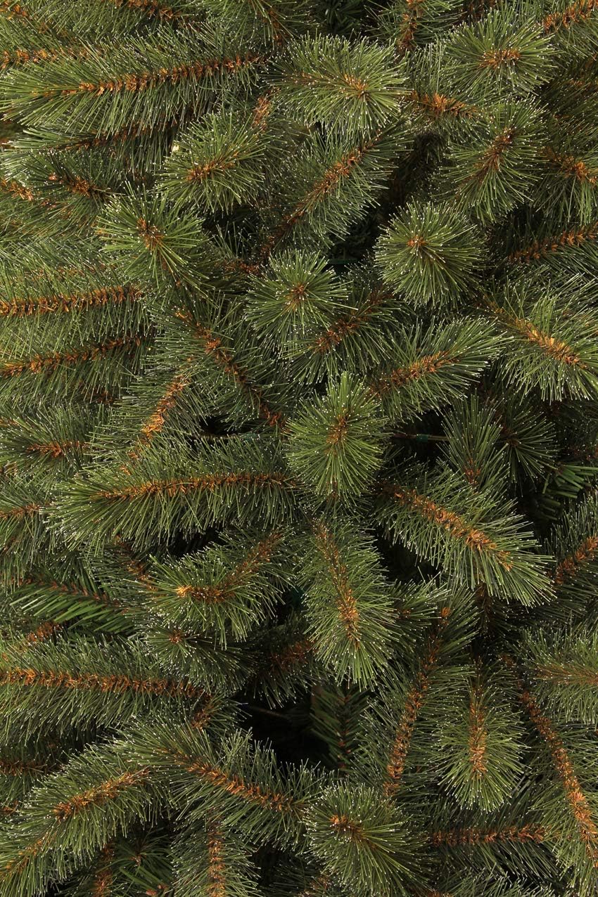 Bristlecone Fir künstlicher Weihnachtsbaum, 155 cm