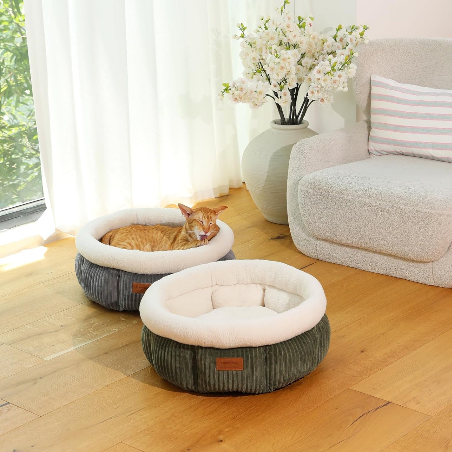 Katzenbett waschbar mit erhöhtem Rand, grün