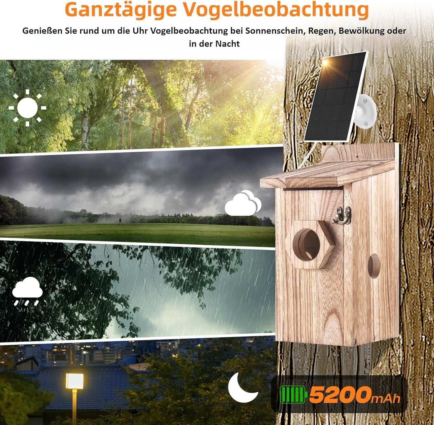 Vogelhaus mit Kamera & Solarbetrieb, Holz Vogelhaus Solar Kamera