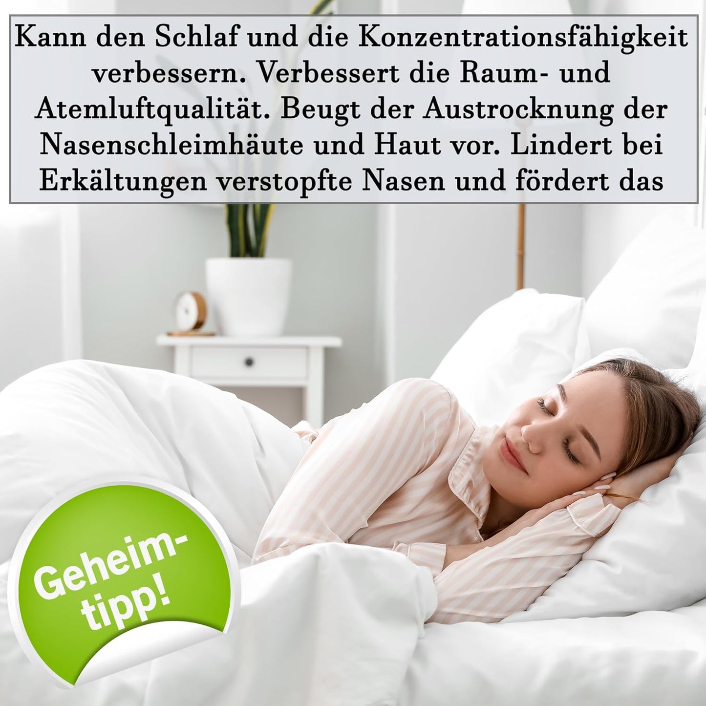 Luftbefeuchter-Set für Heizung (8 Stück), 8 Stück