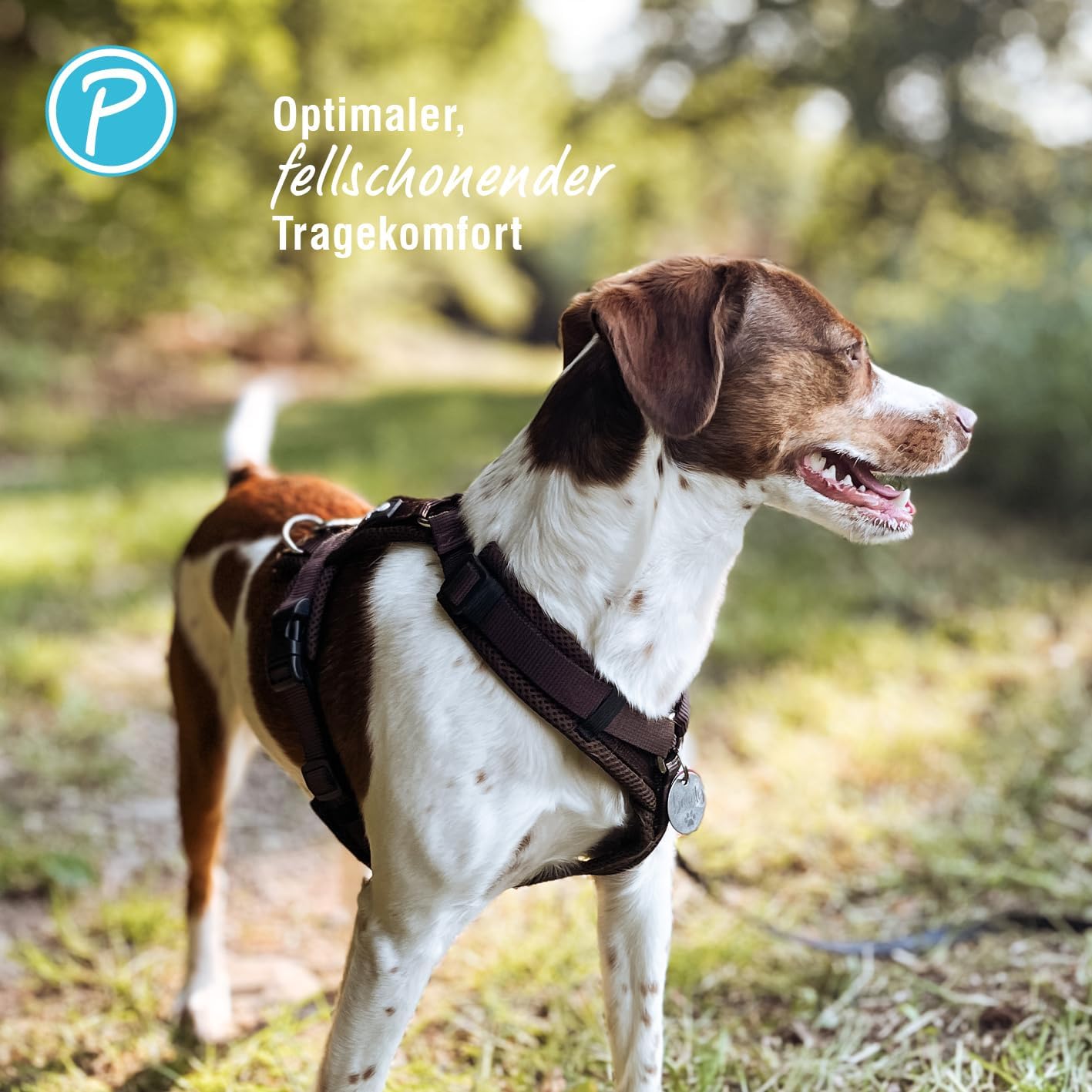 Gepolstertes Hundegeschirr, verstellbar & atmungsaktiv, Mokka M