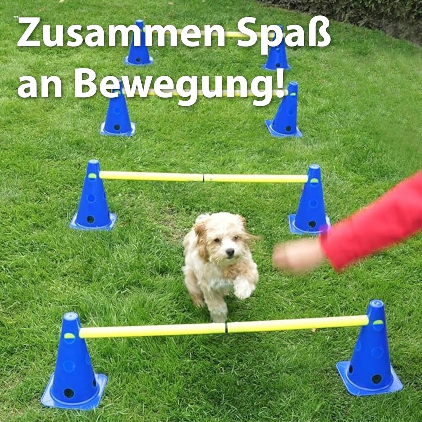 Steckhürdenset, 12 Steckhürden mit 6 Stangen