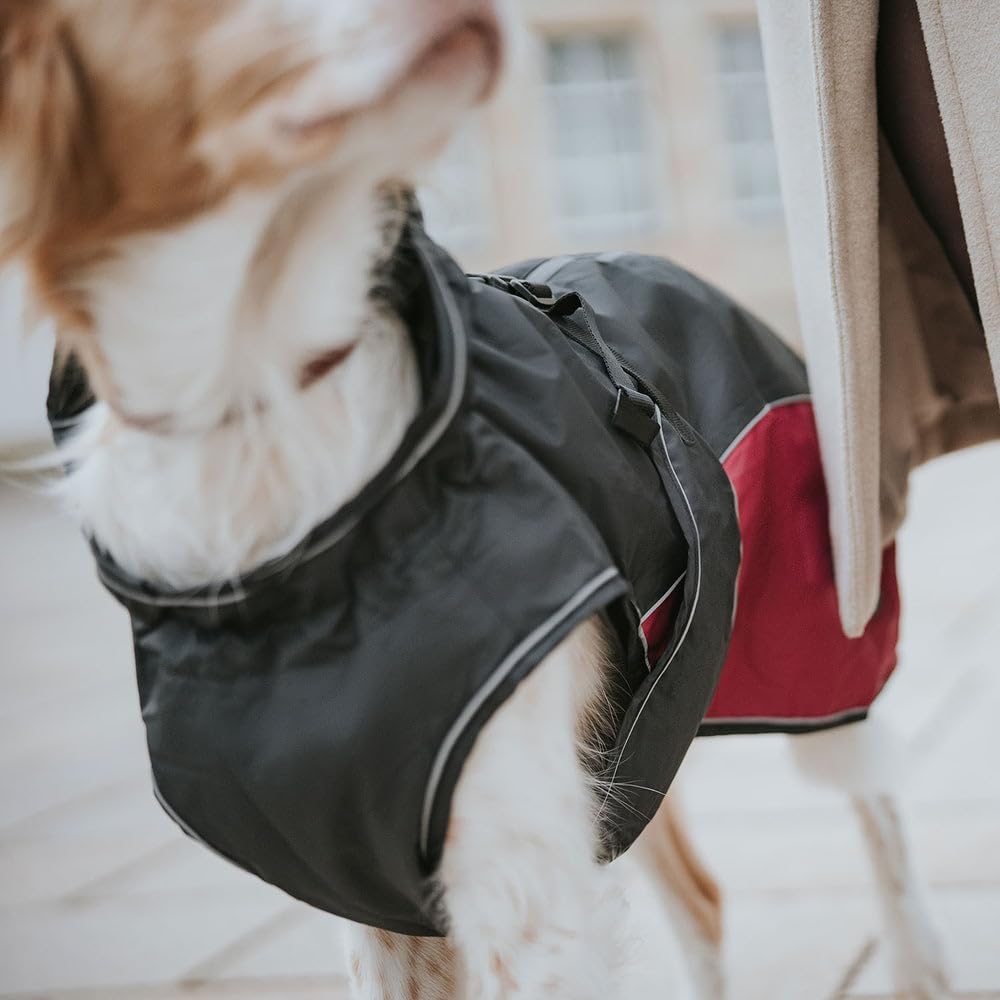 Hundemantel UPPSALA, anthrazit/grau 30