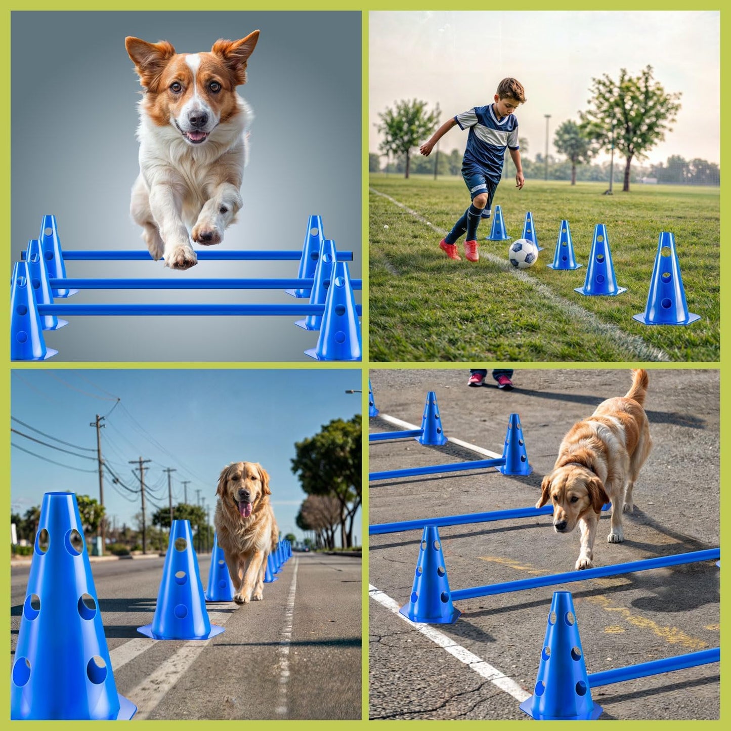 Agility Tunnel-Set mit Sprunghürde, 200 cm - Accessories Set