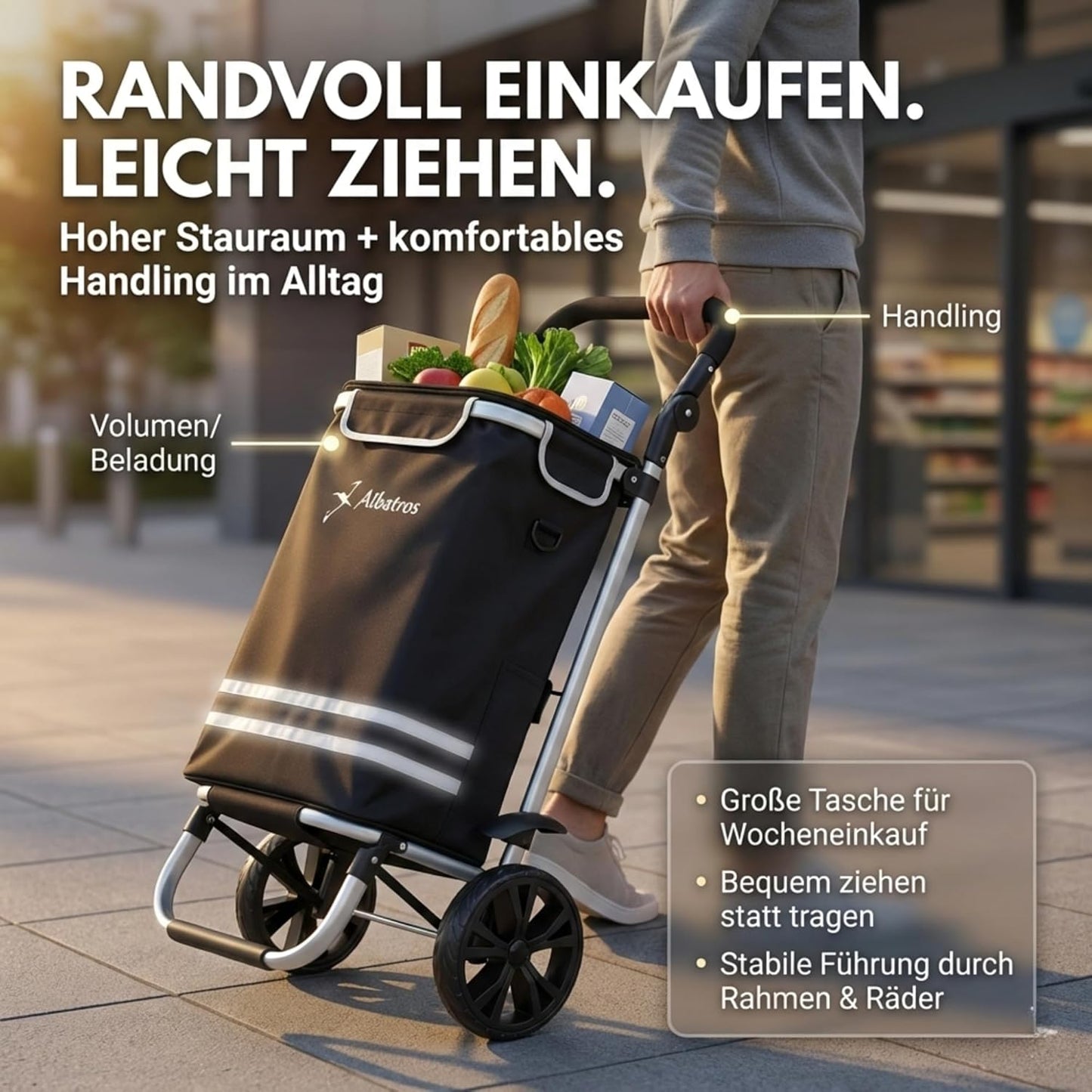 Einkaufstrolley mit Thermo-Innenbeutel, faltbar