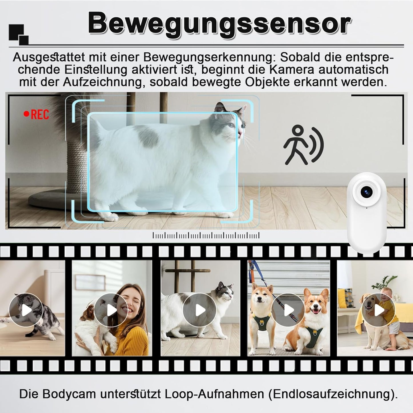 Tierkamera für Halsbänder