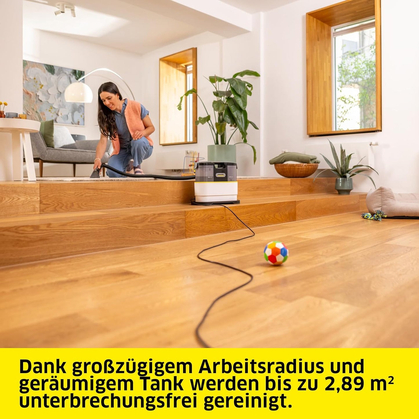 Waschsauger SE 2 Spot Care mit Zubehör-Set