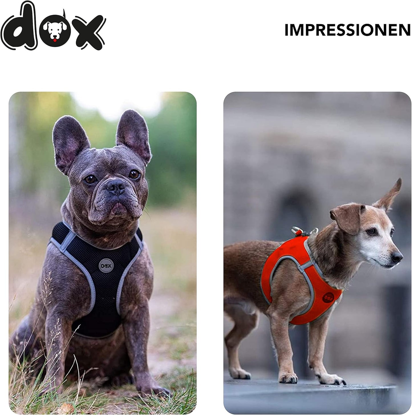 Reflektierendes Step-In Hundegeschirr, BRUSTUMFANG: 48-55 cm Orange