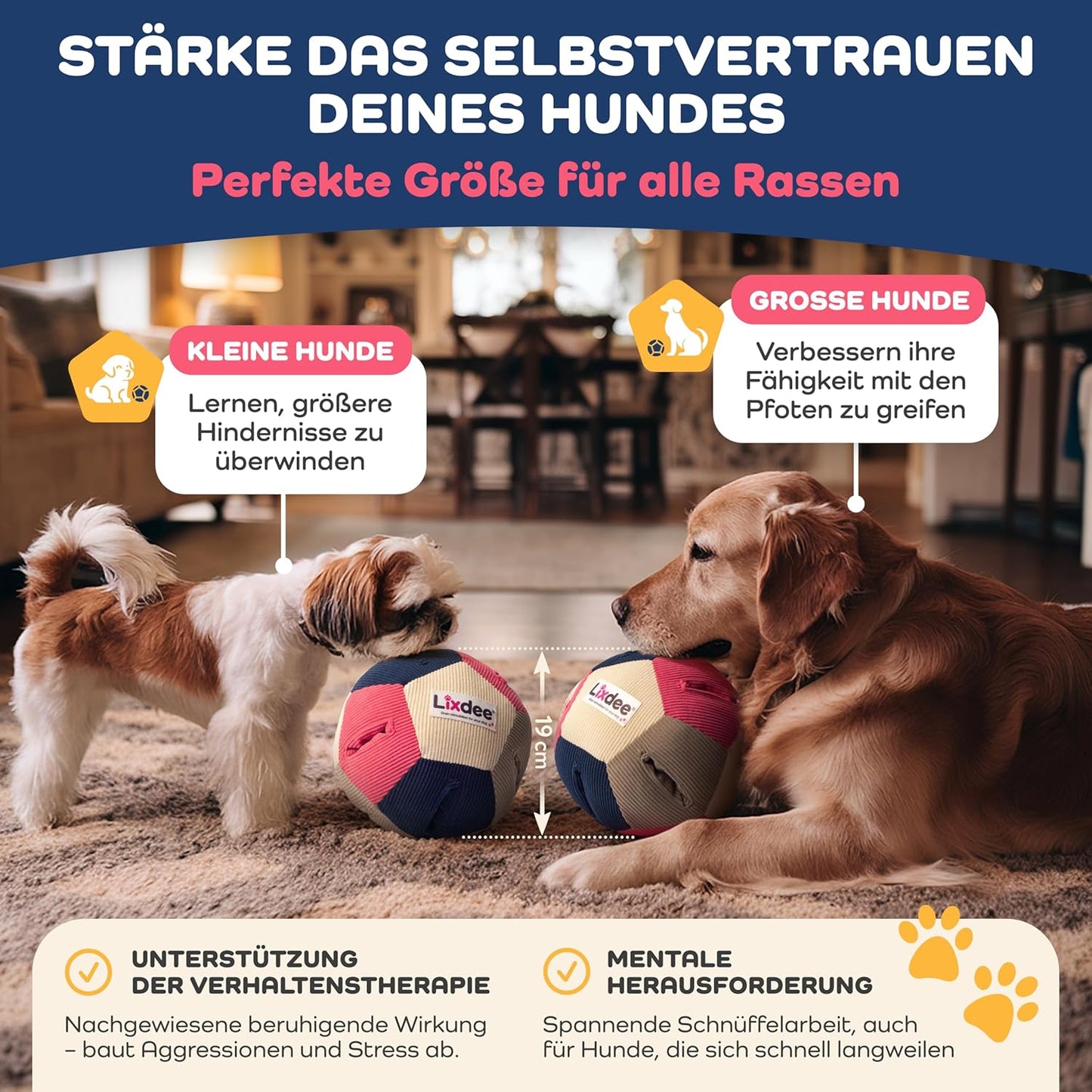 Intelligenz-Schnüffelball mit 4 Schwierigkeitsstufen