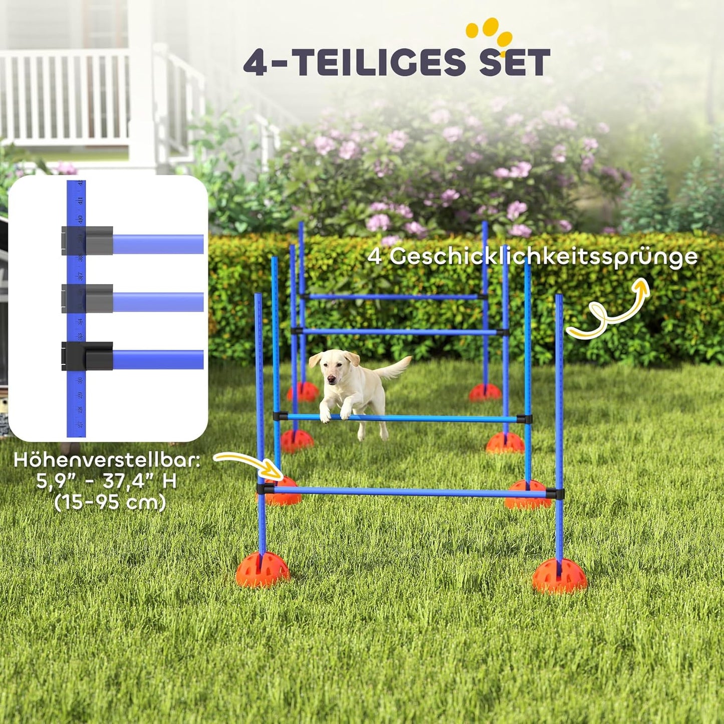Agility Trainingsset, Blau