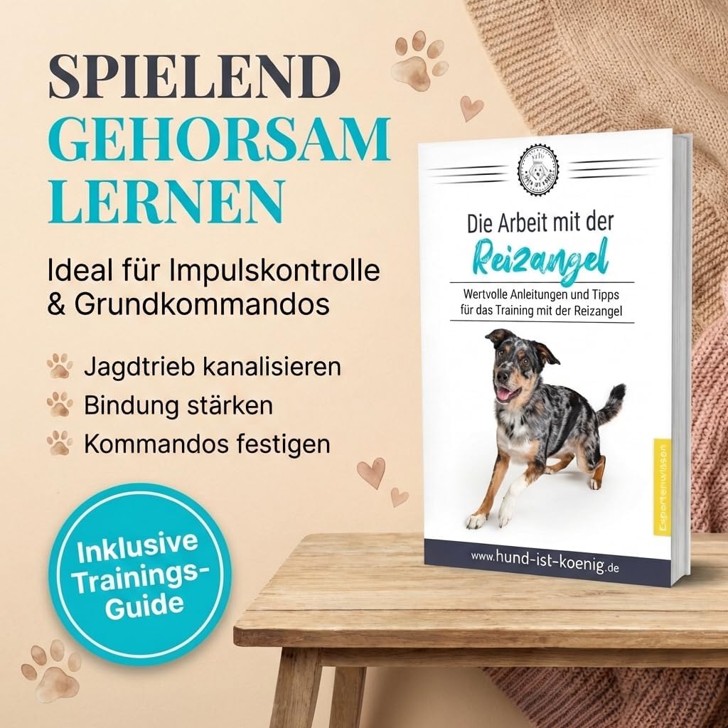 Reizangel für Hunde, Reizangel 102cm + Seile 110cm Schwarz